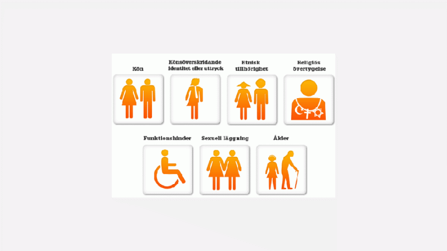 [http://linalilja.webblogg.se/2011/december/diskriminering-en-samhallsforlust.html](2014-12-07)